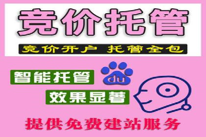 百度SEO推广实战案例：提升网站排名
